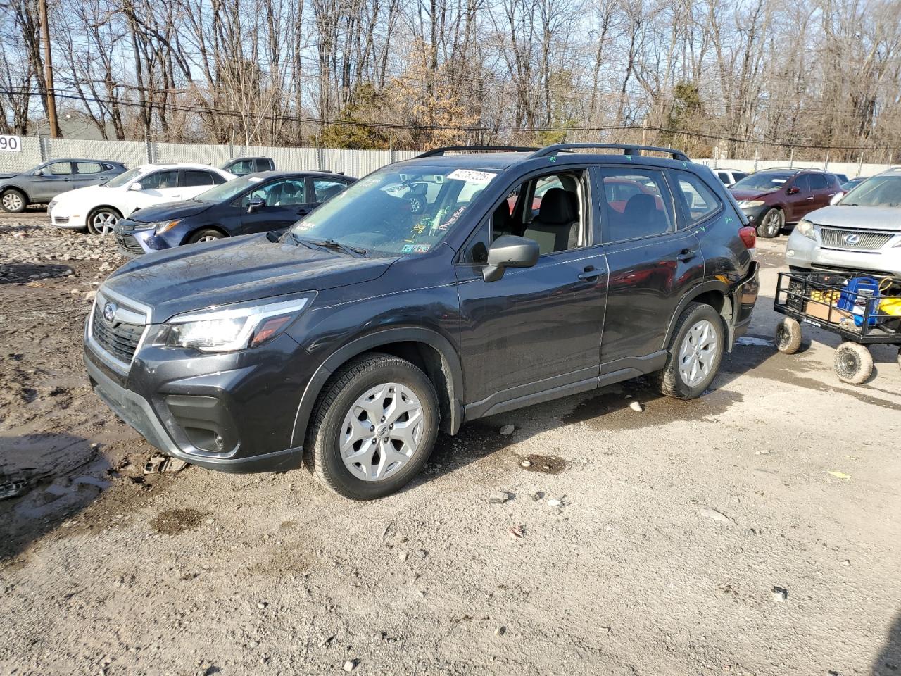 2019 Subaru Forester - Image 1