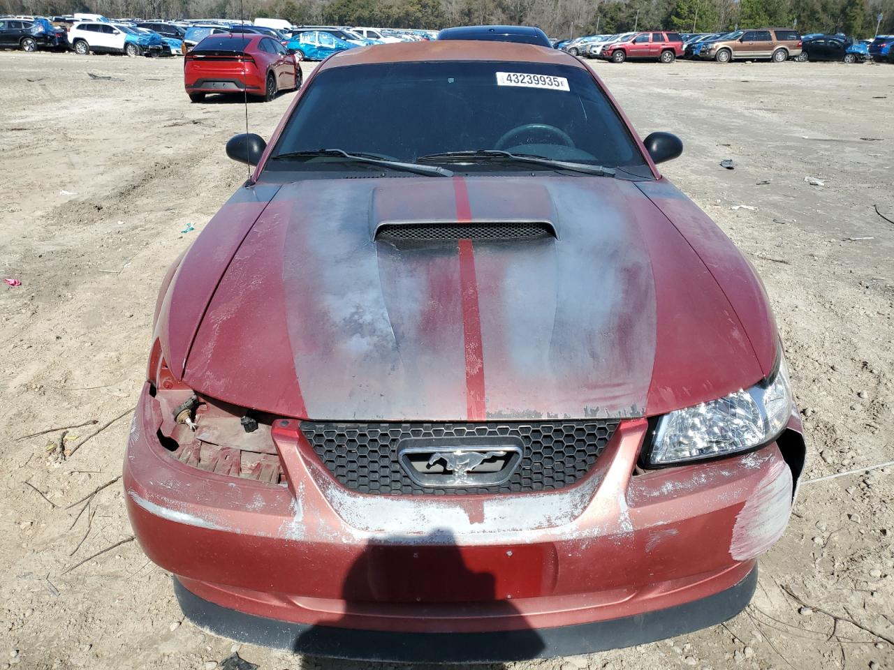 2002 Ford Mustang - Image 5