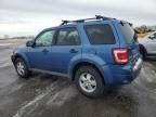 2010 Ford Escape Xlt de vânzare în Ham Lake, MN - Front End