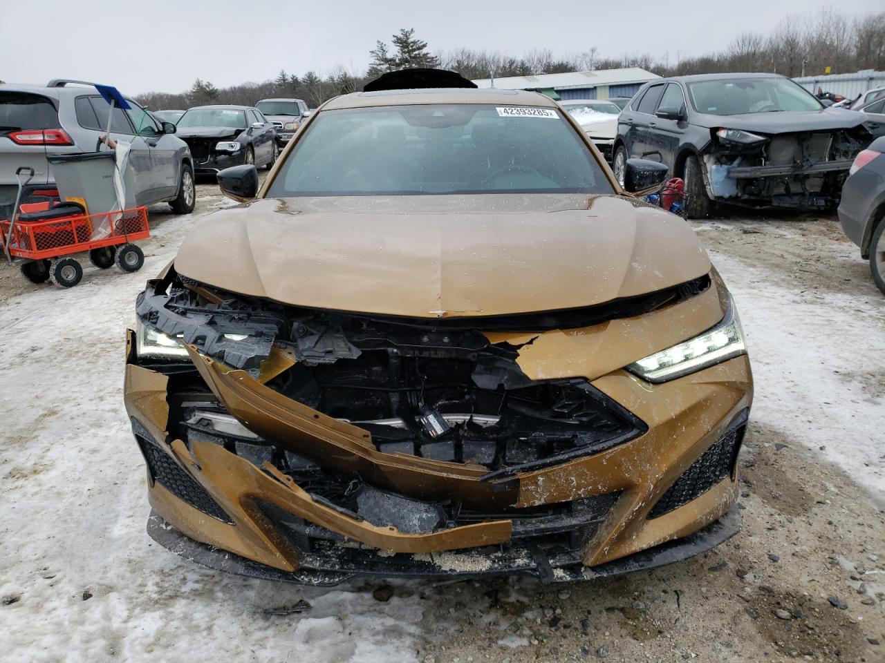2023 Acura TLX - Image 5