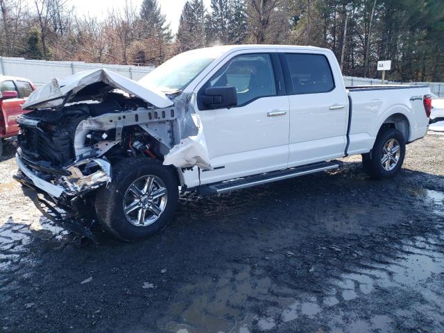 2024 Ford F150 Xlt