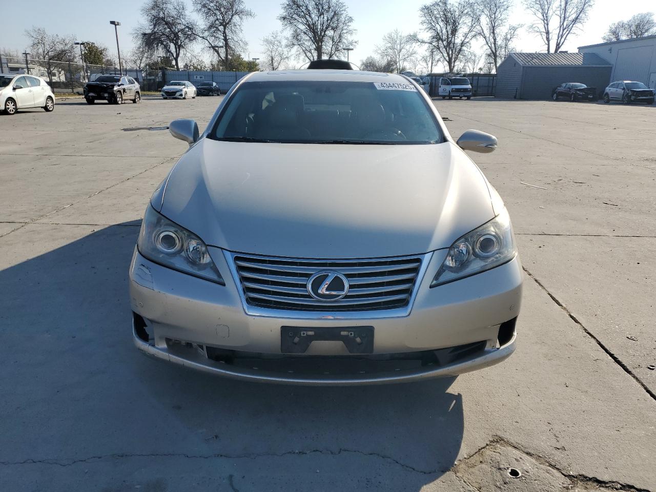 2010 Lexus ES - Image 5