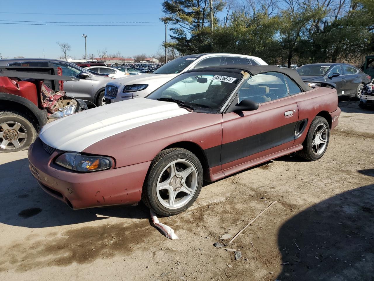 1998 Ford Mustang - Image 1