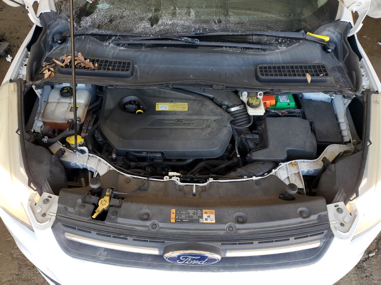 2013 Ford Escape - Image 12