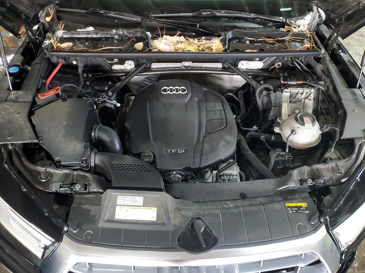 2019 Audi Q5 - Image 12