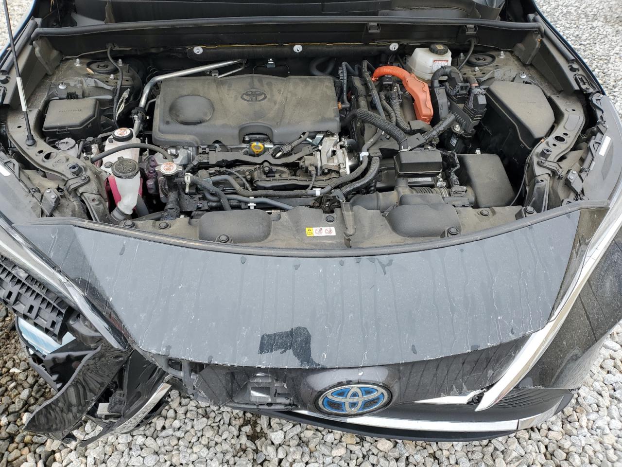 2021 Toyota Venza - Image 12