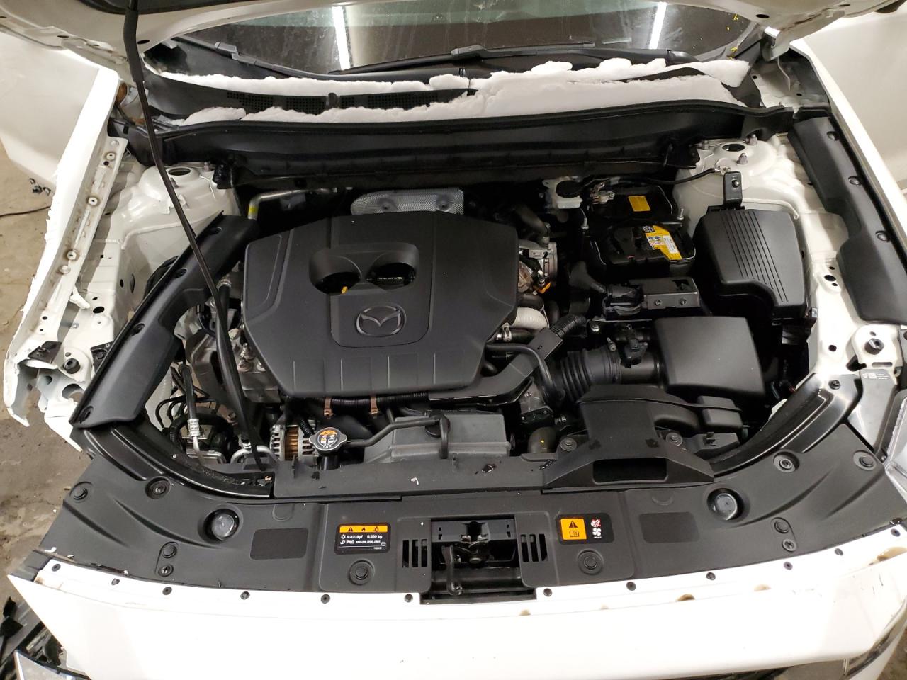 2024 Mazda CX-5 - Image 12