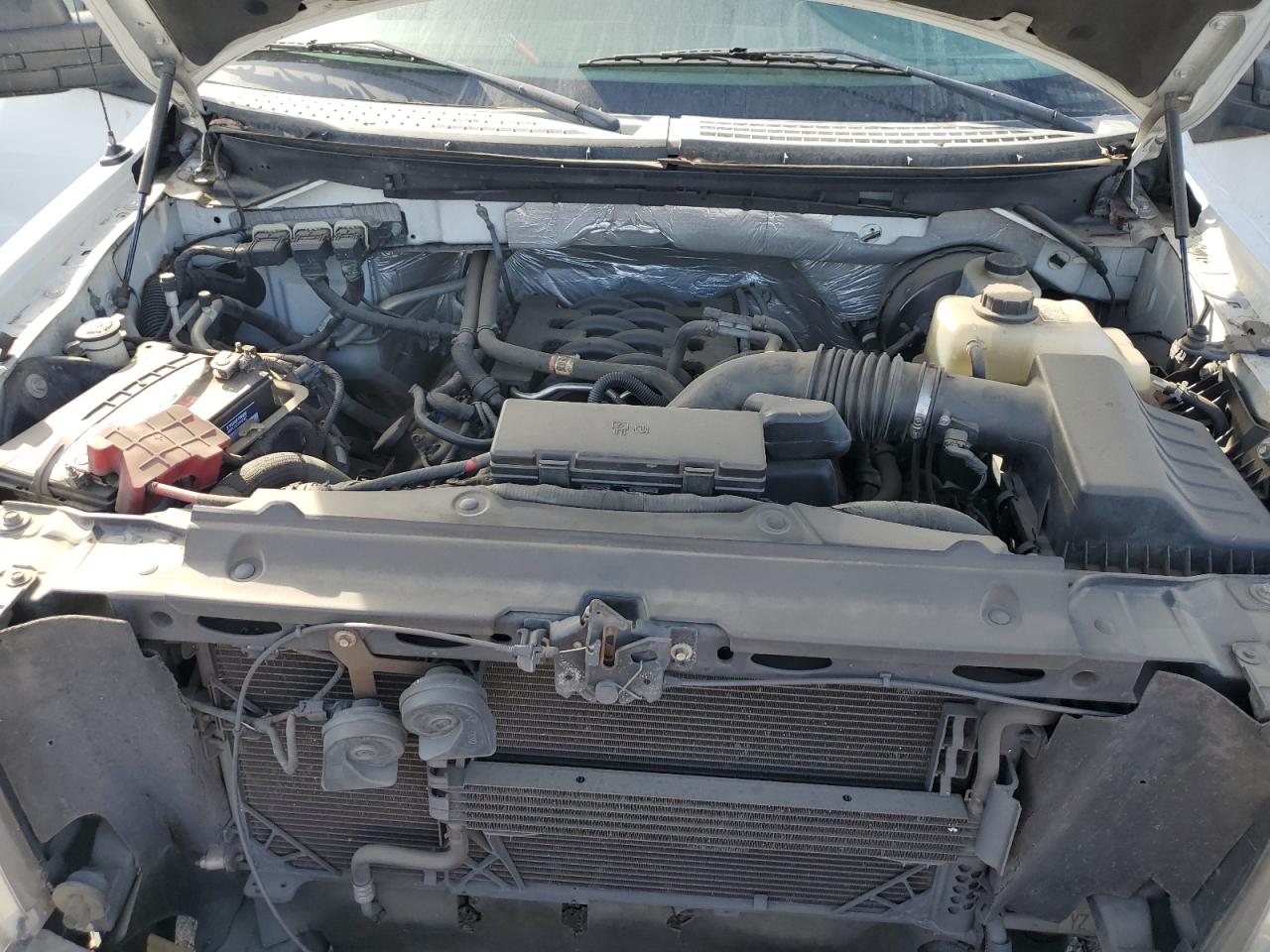 2011 Ford F150 VIN: 1FTNF1CF1BKD11910 Lot: 42651115