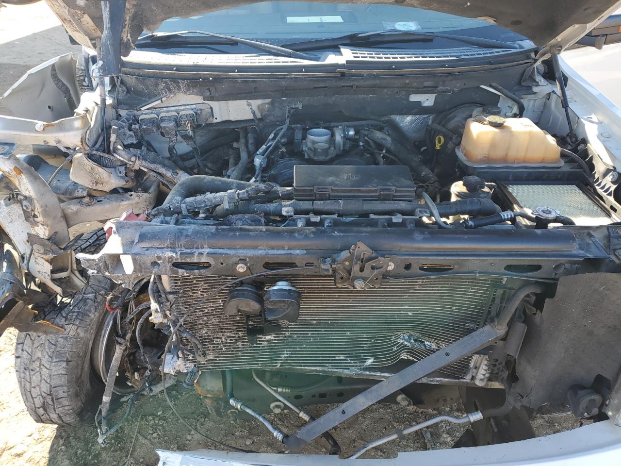 2010 Ford F-150 - Image 12
