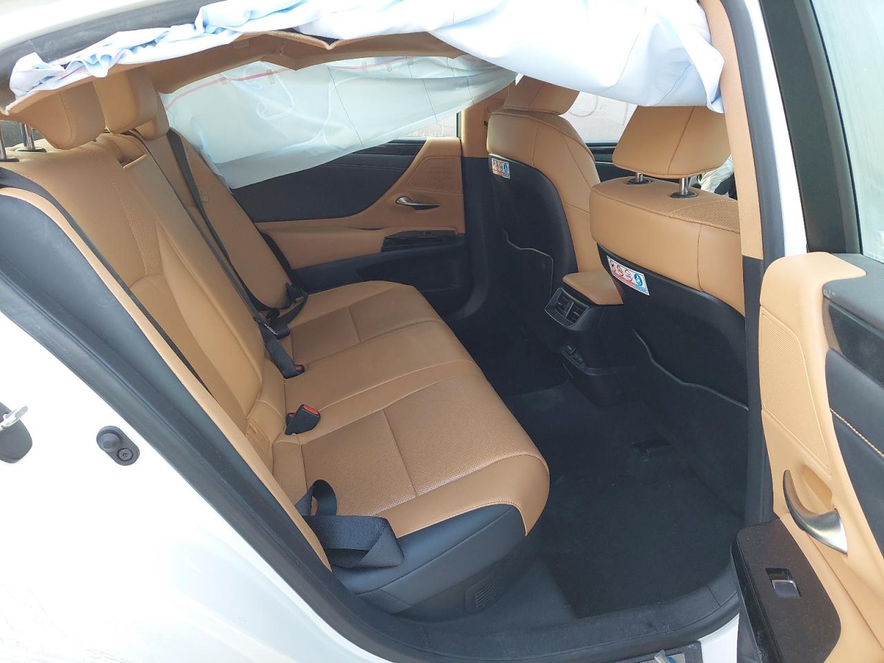 JTHB21B10P2223117 - 2023 Lexus Es 300 - #43300495