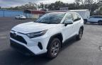 2024 Toyota Rav4 Xle للبيع في Riverview، FL - Water/Flood