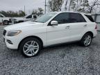 2014 Mercedes-Benz Ml 350 Bluetec zu verkaufen in Riverview, FL - Minor Dent/Scratches