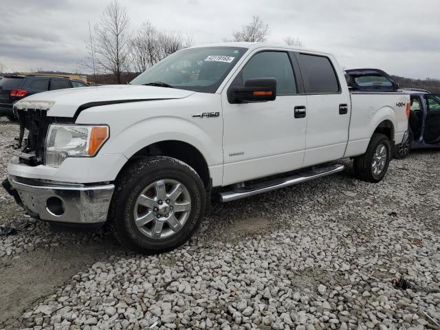 Пікапи FORD F-150 2014 Білий