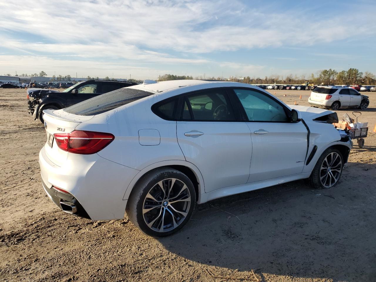 2018 BMW X6 - Image 3