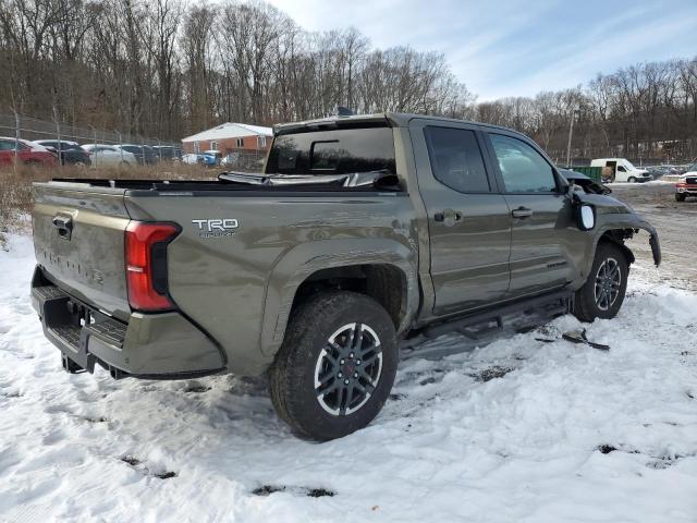  TOYOTA TACOMA 2024 Колір засмаги