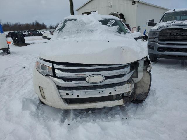 Паркетники FORD EDGE 2013 Белый