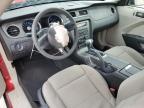 2011 Ford Mustang  for Sale in Arcadia, FL - Front End