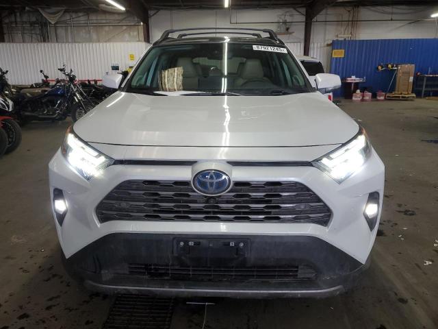  TOYOTA RAV4 2023 Белы