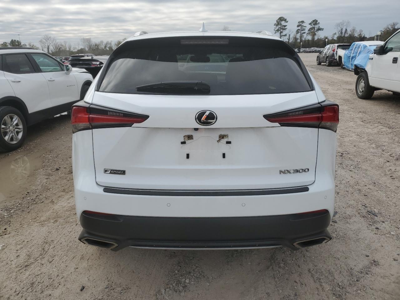 2021 Lexus NX - Image 6
