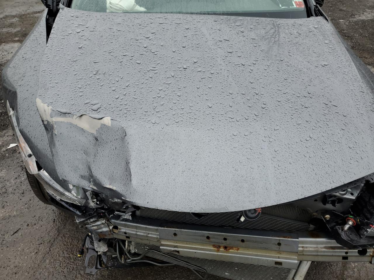 2010 Honda Accord - Image 13