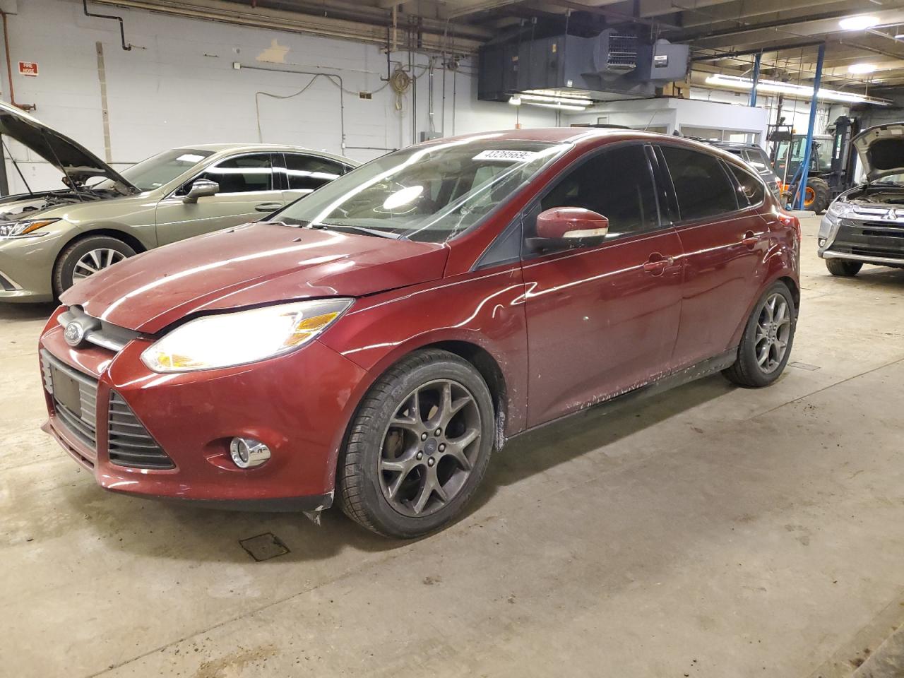 2014 Ford Focus - Image 1
