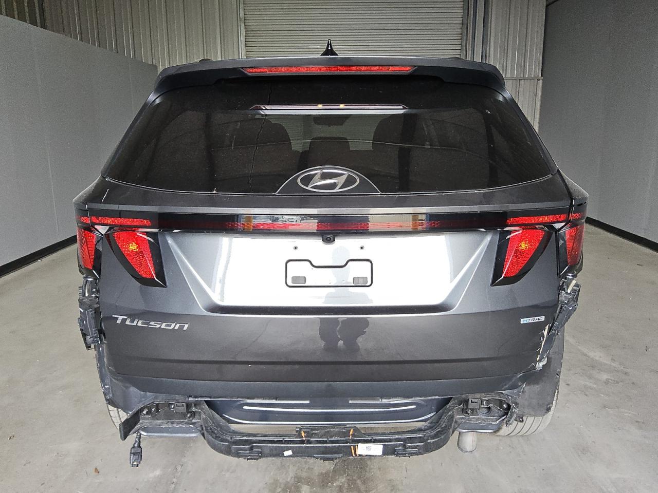 VIN 5NMJBCDE5RH356513 2024 HYUNDAI TUCSON no.6