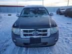 2011 Ford Escape Xlt იყიდება Rapid City-ში, SD - Hail