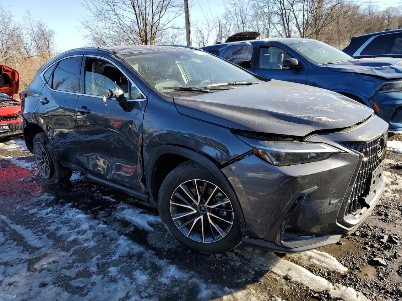 2024 Lexus NX - Image 4