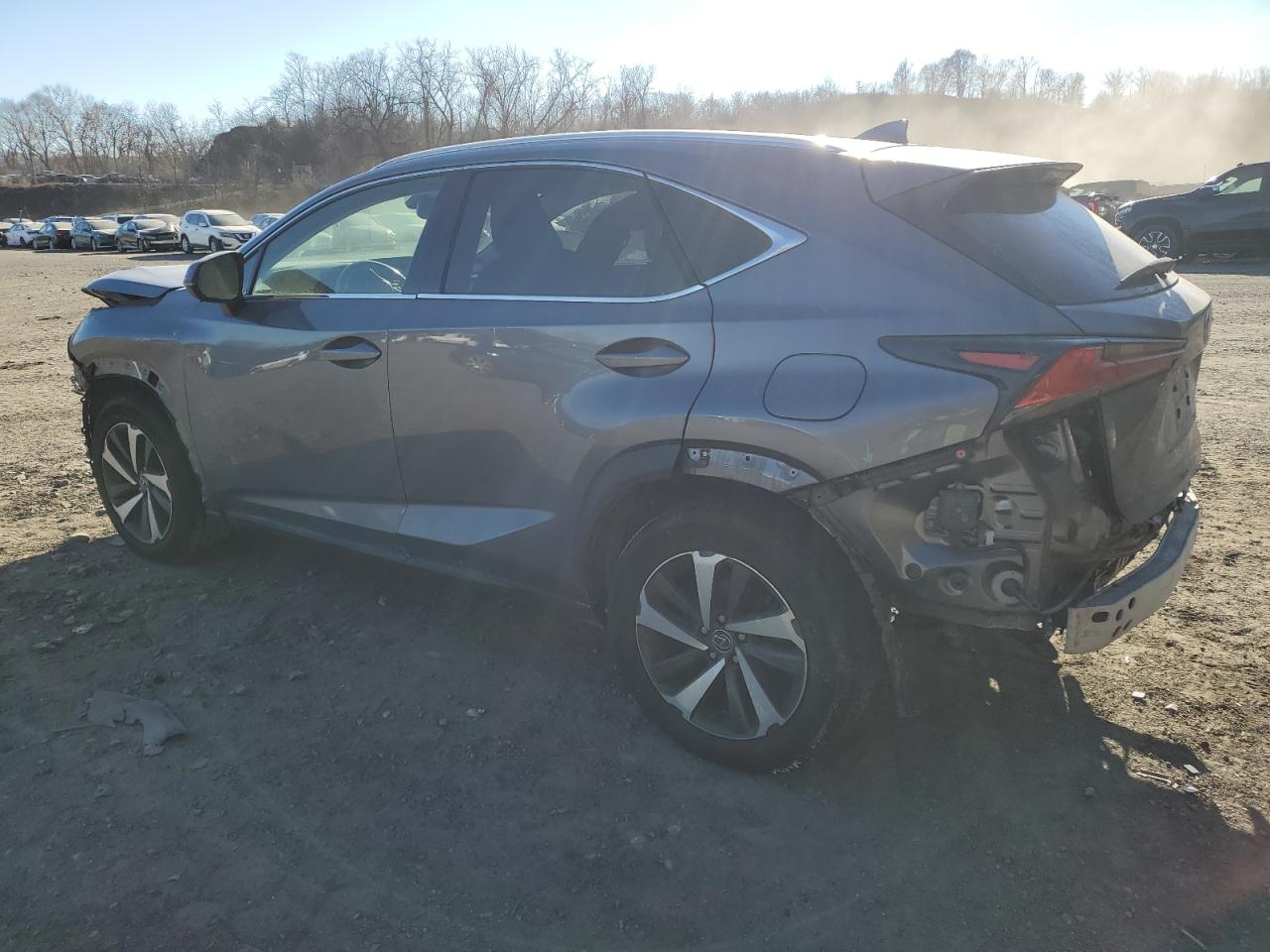 2019 Lexus NX - Image 2
