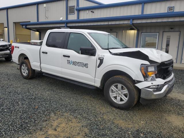  FORD F-150 2023 Белы