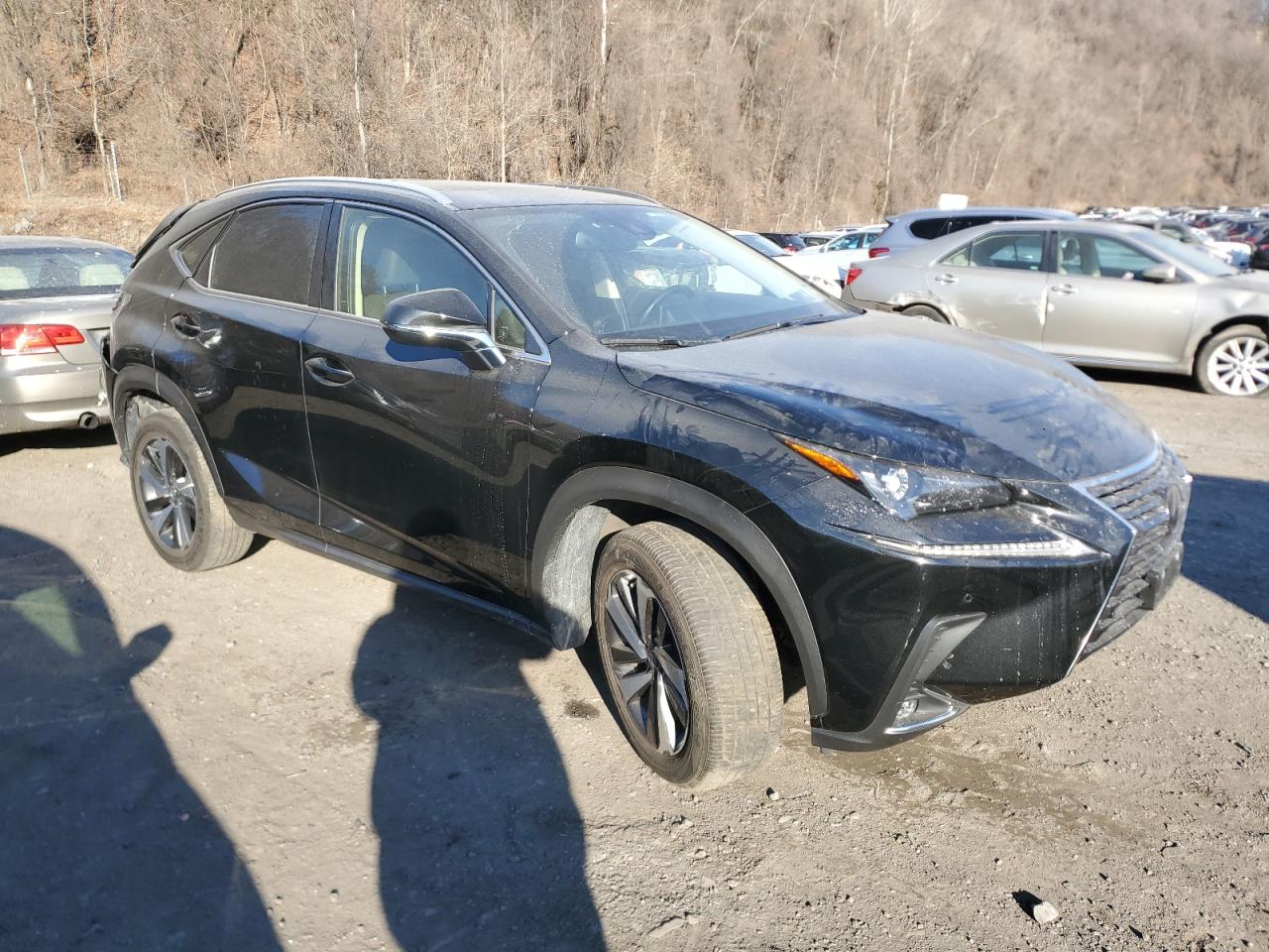 2021 Lexus NX - Image 4