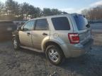 2010 Ford Escape Xlt за продажба в Windsor, NJ - Front End