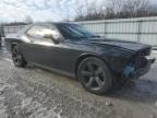 2014 Dodge Challenger Sxt zu verkaufen in Prairie Grove, AR - Hail