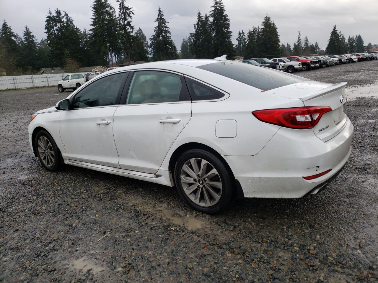 VIN 5NPE34AF3GH371349 2016 HYUNDAI SONATA no.2