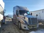 2016 Freightliner Cascadia 125  for Sale in Cicero, IN - Frame Damage