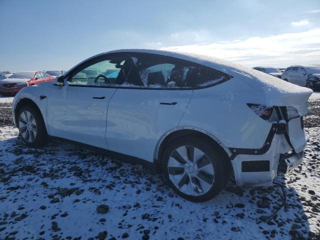  TESLA MODEL Y 2023 Белый
