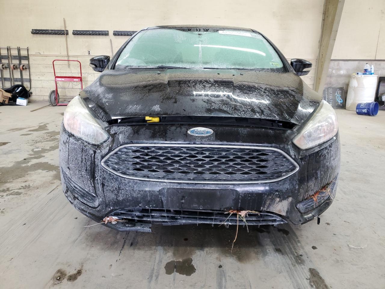 2016 Ford Focus - Image 5