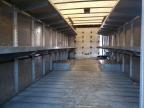 2020 Freightliner Chassis M Line Walk-In Van for Sale in Mebane, NC - Rear End