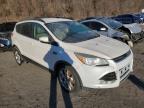 Marlboro, NY에서 판매 중인 2013 Ford Escape Sel - Minor Dent/Scratches
