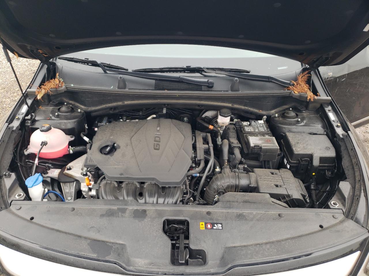 2024 Kia Sportage - Image 12
