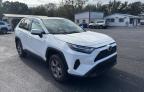 2024 Toyota Rav4 Xle للبيع في Riverview، FL - Water/Flood