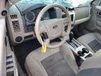 2008 Ford Escape Xlt for Sale in Arcadia, FL - All Over