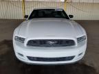 2013 Ford Mustang  zu verkaufen in Phoenix, AZ - Side