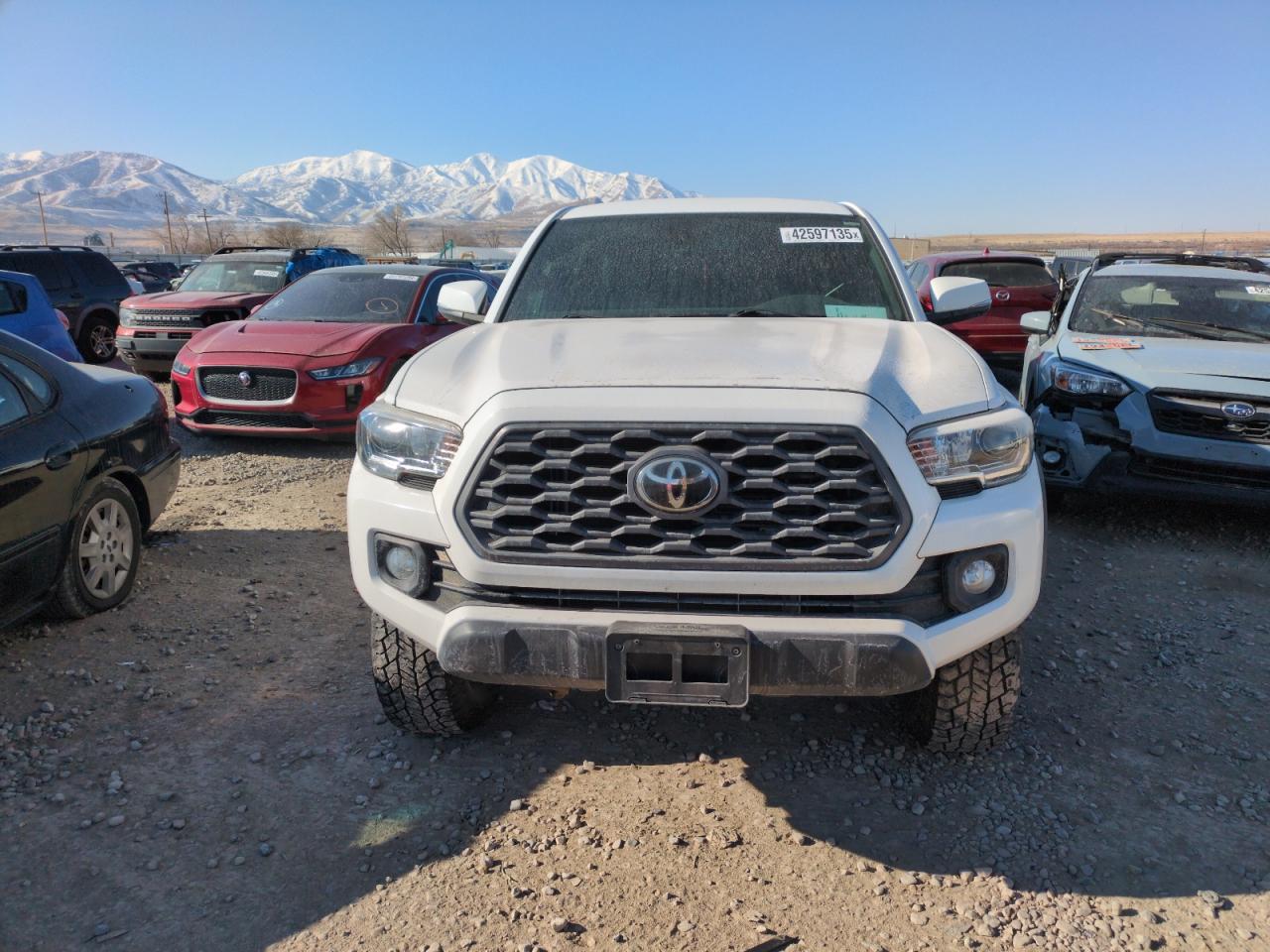 2020 Toyota Tacoma - Image 5