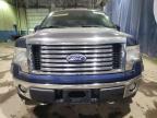 2011 Ford F150 Super Cab იყიდება Woodhaven-ში, MI - Minor Dent/Scratches