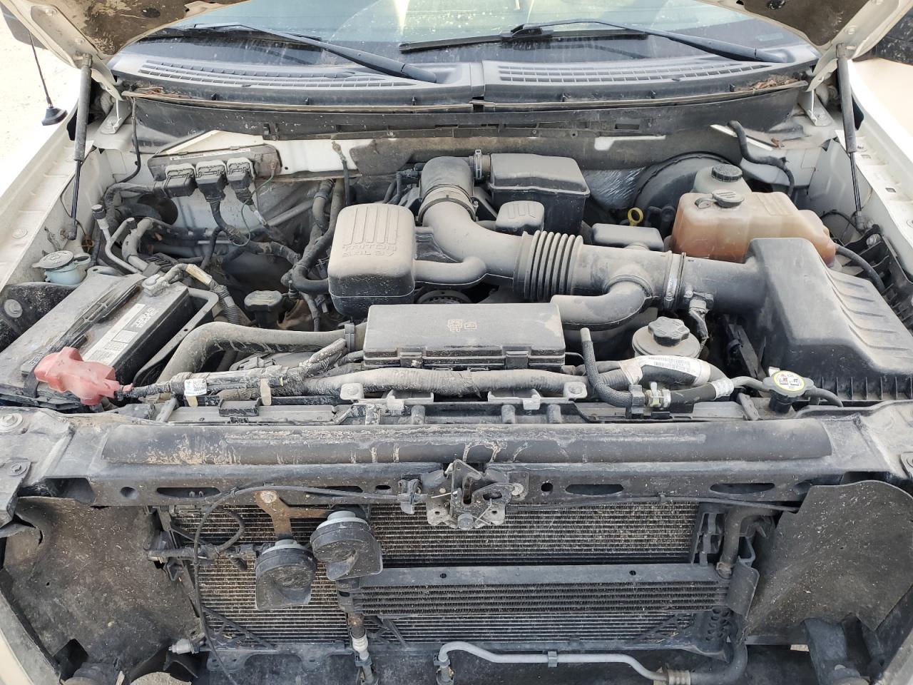 2009 Ford F-150 - Image 13
