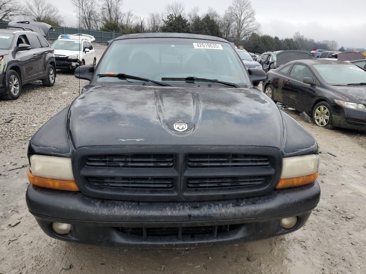 1999 Dodge Dakota - Image 5