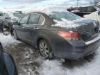 2009 Honda Accord Exl продається в Baltimore, MD - Front End