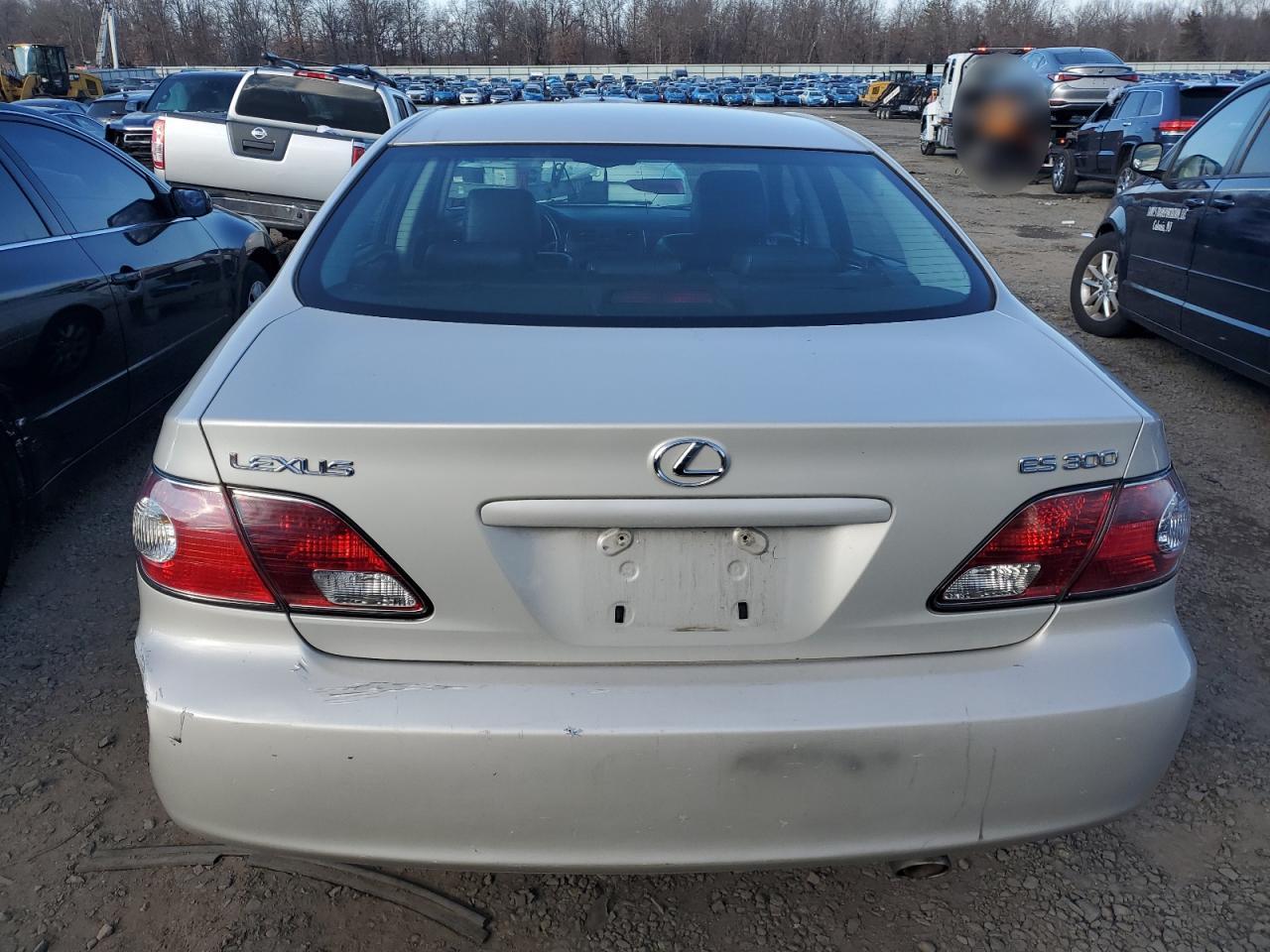 2002 Lexus Es 300 VIN: JTHBF30G520027900 Lot: 87765135