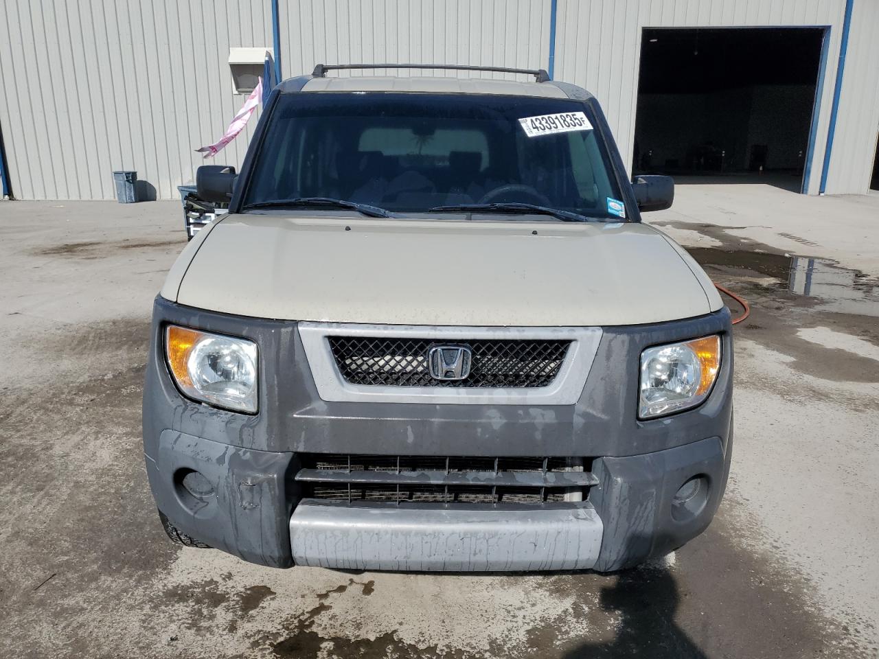 2005 Honda Element - Image 5